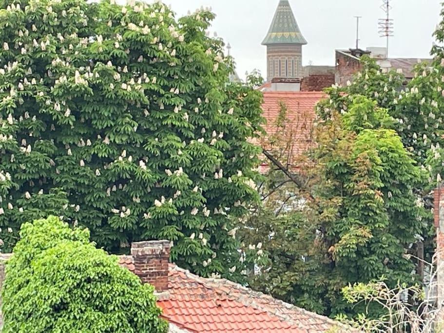 Central, Big Terrace, Near River Timisoara Exterior foto