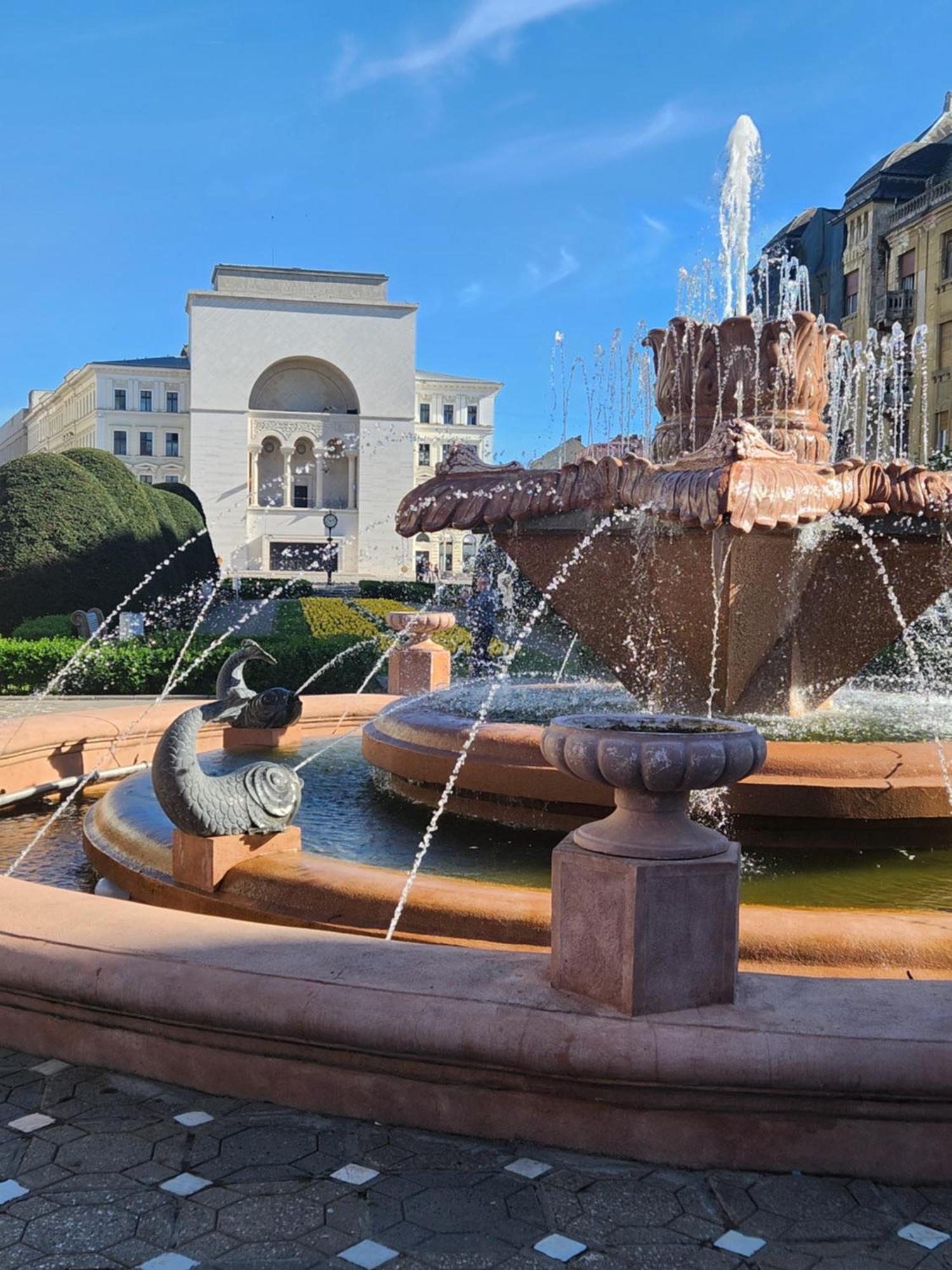 Central, Big Terrace, Near River Timisoara Exterior foto